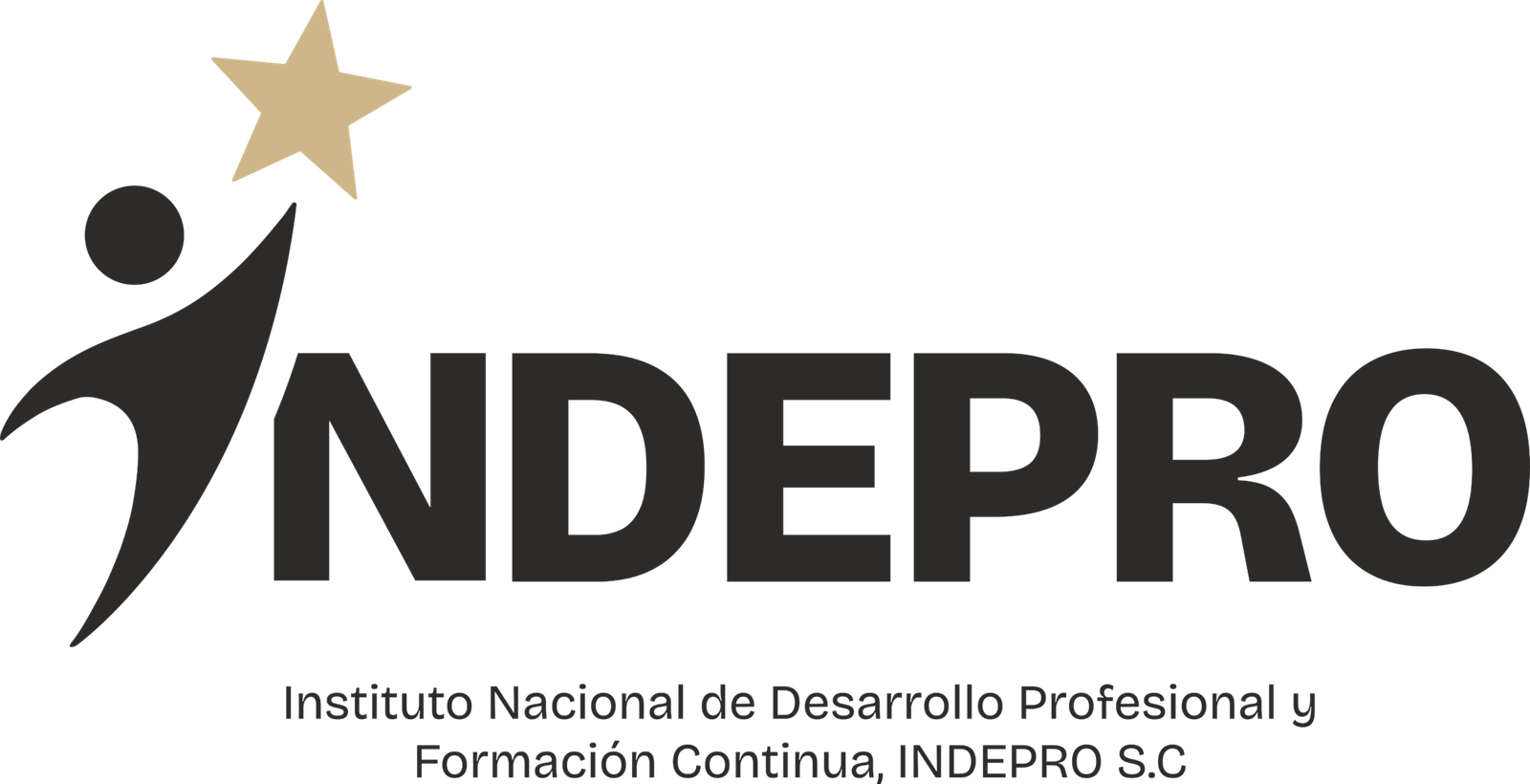 Logo INDEPRO